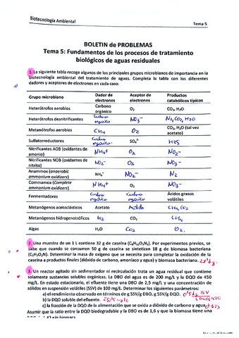 Boletin-Tema-5.pdf
