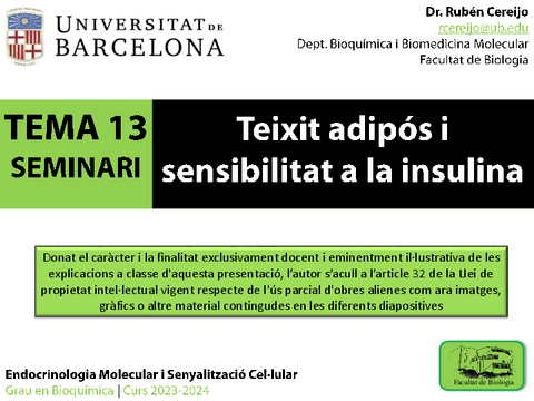 SEMINARI-TEMA-13.-curs-23-24.pdf.pdf