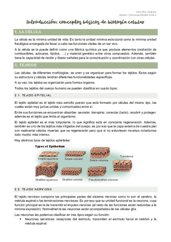 T1.-Introduccion.pdf