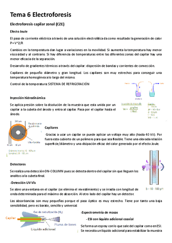 Tema-6-electroforesis.pdf