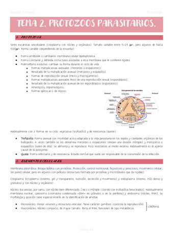 Tema-2.-Protozoos.pdf