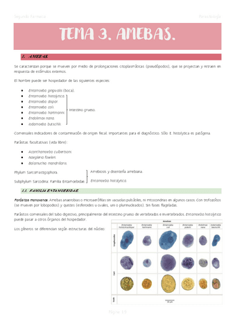 Tema-3.-Amebas..pdf