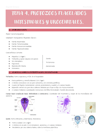 Tema-4.-Protozoos-flagelados-intestinales-y-urogenitales.pdf