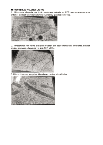 SEGUNDA-PARTE-FOTOS-PRACTICAS-BIOLOGIA-CELULAR.pdf