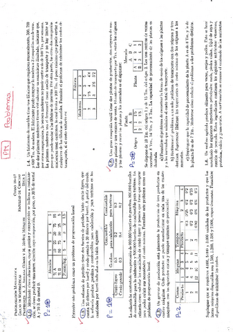 PM PROBLEMAS.pdf