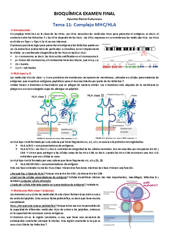 Bioquimica-Examen-Final.pdf