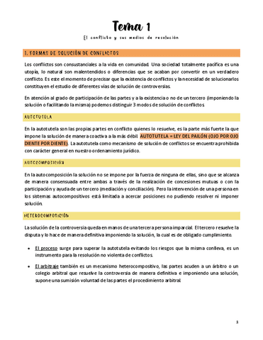 PROCESAL-Completo.pdf
