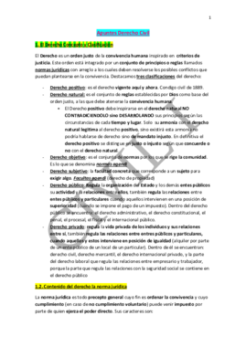 Apuntes Derecho Civil URJC.pdf