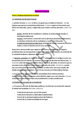Apuntes Derecho Procesal URJC.pdf