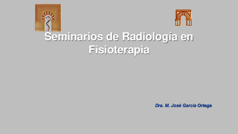 Seminario-2-RAD.pdf