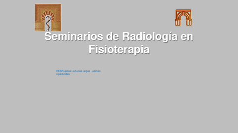 Seminario-3-RAD.pdf