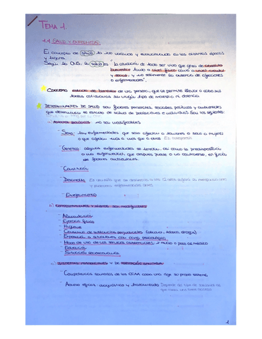 TEMA-1.pdf