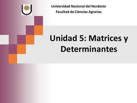 Unidad-5-Matrices-y-Determinantes.pdf