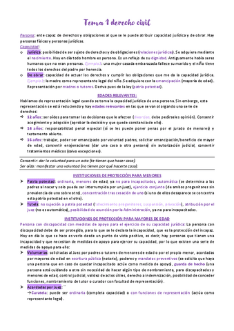 Tema-1-intro-D.Civil-Davila.pdf