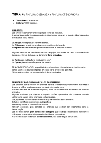 TEMA-4-Zoo.pdf