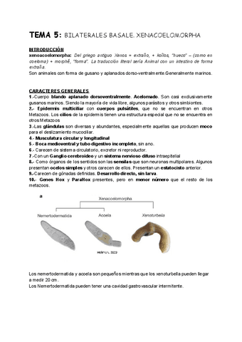 TEMA-5-Zoo.pdf