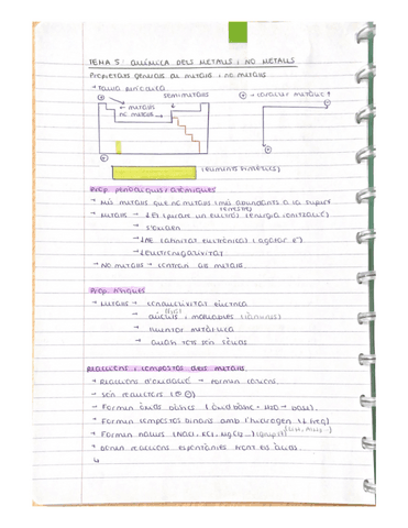 Tema-5-Quimica-dels-metalls-i-no-metalls.pdf