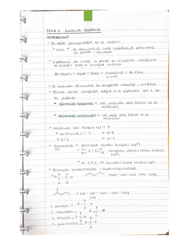 Tema-6-Quimica-Organica.pdf