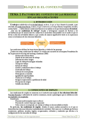 Tema 2. Factores del contexto de las personas en las organizaciones.pdf