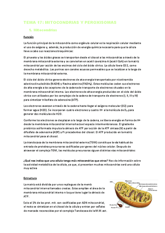 TEMA-17.pdf