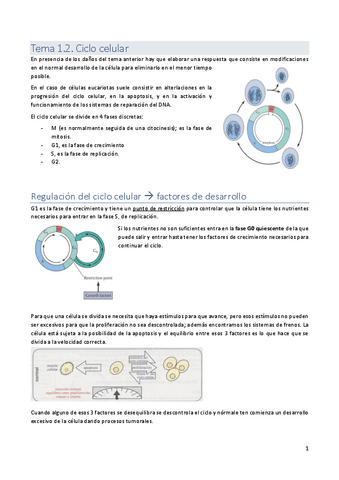 Tema-1.2.pdf