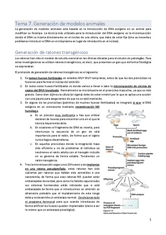 tema-7.pdf