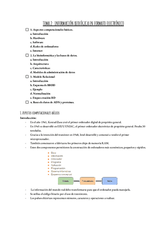 TEMA-2-ASPECTOS-COMPUTACIONALES-BASICOS.pdf