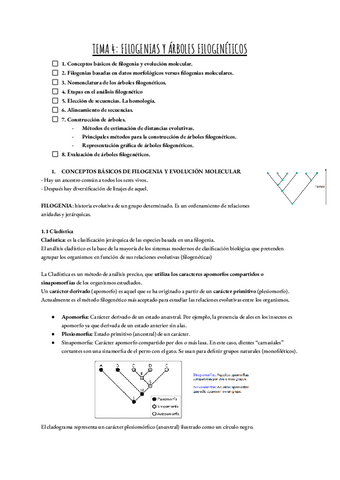 TEMA-4-FILOGENIAS-Y-ARBOLES-FILOGENETICOS.pdf