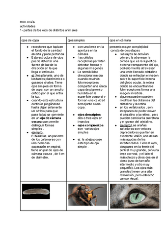 OJOS-DE-ANIMALES-Y-SU-EVOLUCION.pdf