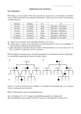 serie P1 17-18 RESUELTA.pdf