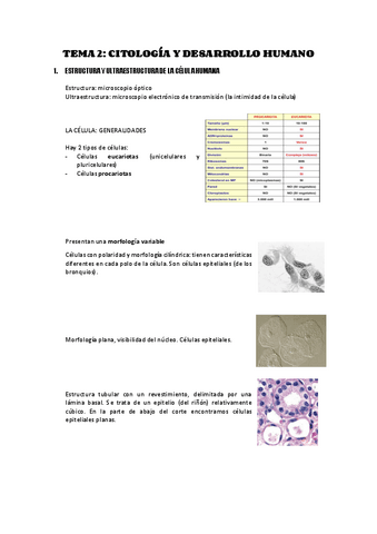 Bloque-2.pdf
