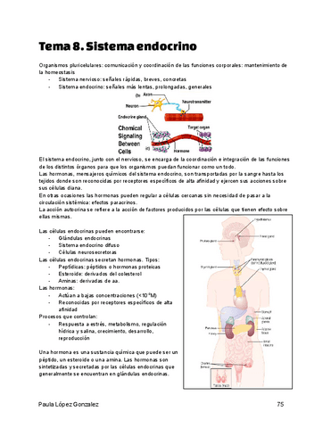 Tema-8.-Sistema-endocrino.pdf