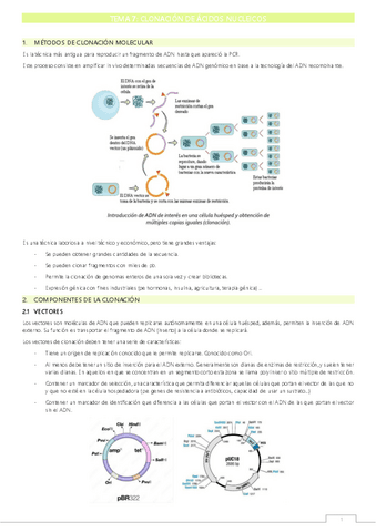 T7 Clonación-de-ácidos-nucleicos.pdf