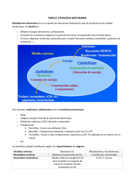 TEMA.3 metabolismo bacterianodocx.pdf