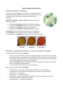 TEMA.8. estreptococo docx.pdf