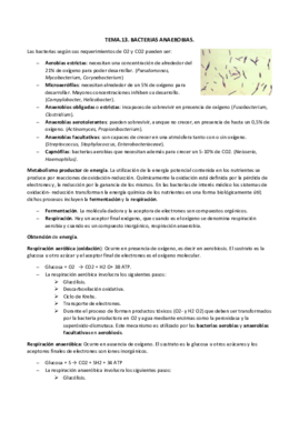 TEMA.13.bacterias anaerobiasdocx.pdf