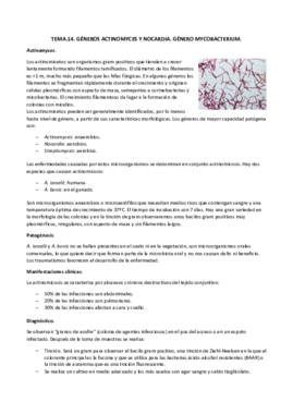 TEMA.14. actinomyces- nocardia y mycobacterias docx.pdf
