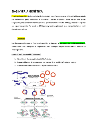 ENGINYERIA-GENETICA.pdf