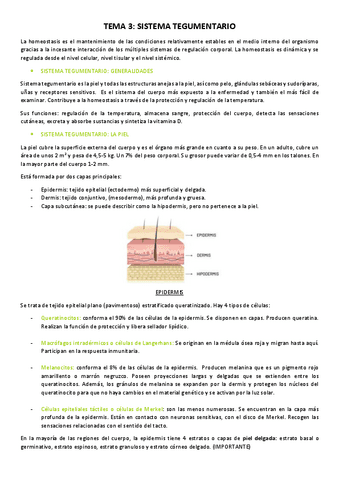 Tema-3-Sistema-tegumentario.pdf