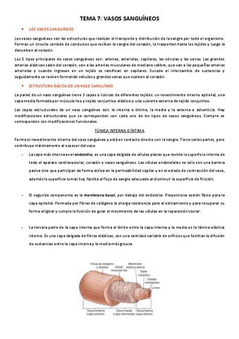 Tema-7.1-Cardiovascular-y-linfatico.pdf
