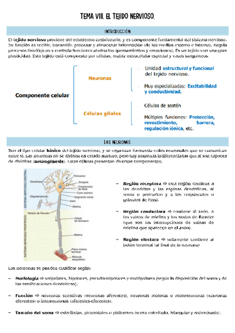 histopatologia-T8.pdf