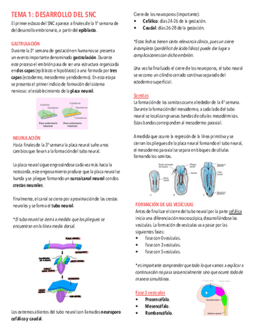 Tema-1.-Desarrollo-del-SNC.pdf