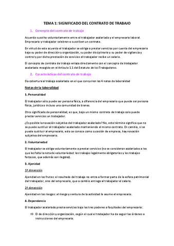 Apuntes-Derecho-del-Trabajo-I-todos-los-temas.pdf