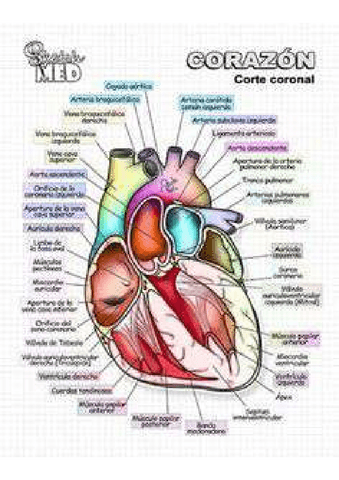 Fichas-2.pdf