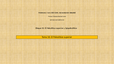 Tema-10-Paleol-Sup.pdf