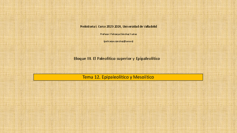 Tema-12.-Epipaleolitico-y-Mesolitico.pdf