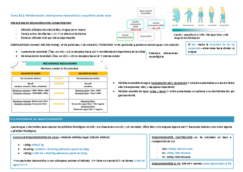 Tema-14.2.pdf