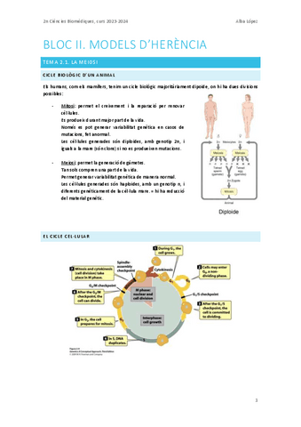 Tema-2.1.-Meiosi.pdf