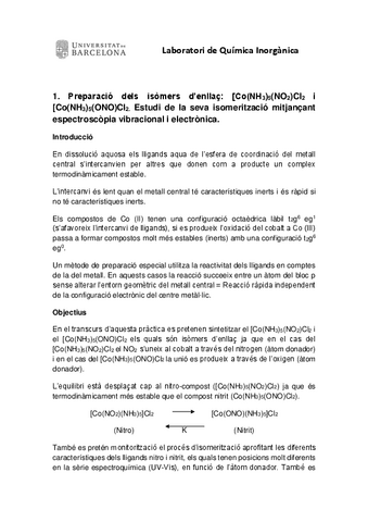 Informe-Practica-1-Laboratorio-Inorganica.pdf