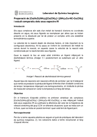 INFORME-PRACTICA-4-Laboratorio-Inorganica.pdf